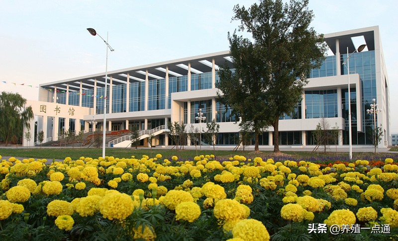 李清宏，山西武乡人，山西农业大学教授、博导，猪兔饲料营养专家