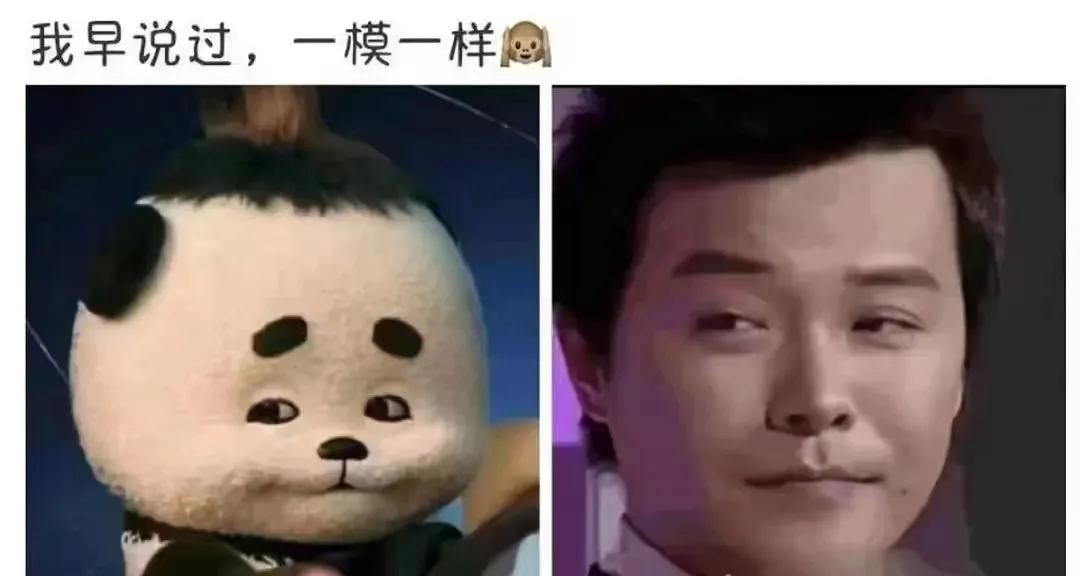 没有外太空，也没有莫扎特