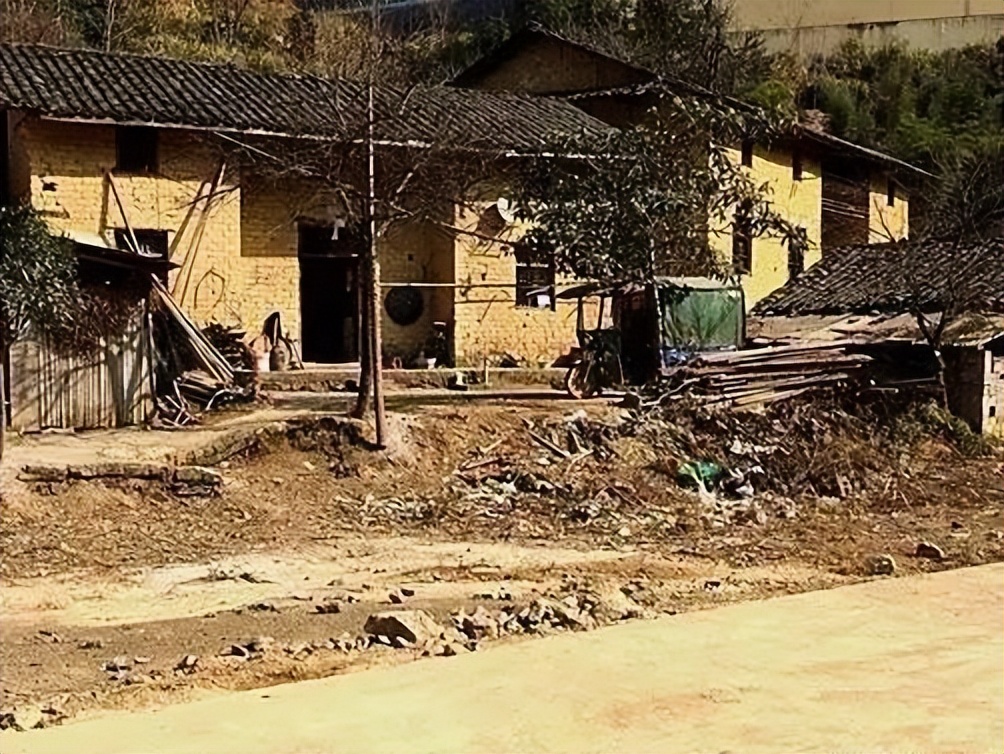 17年前，与瘫痪父亲相依为命、高考763分的广西女孩，后来如何？