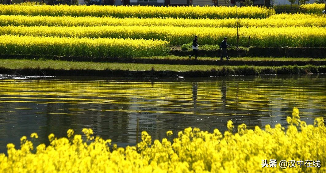 春光三月 花開漢上