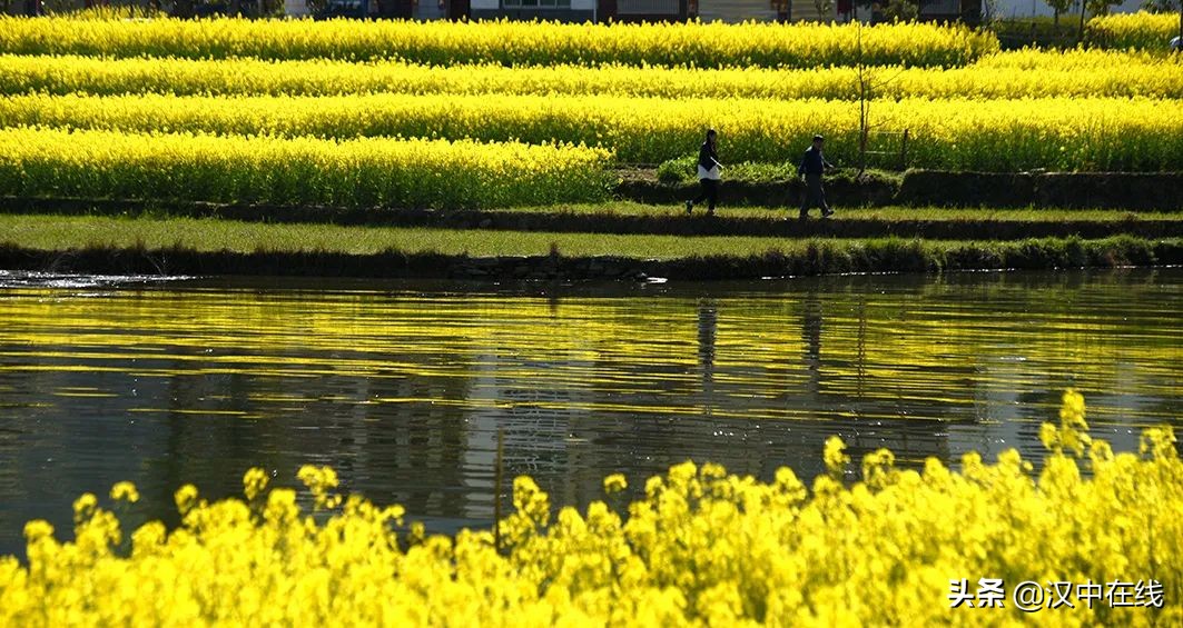 春光三月 花开汉上