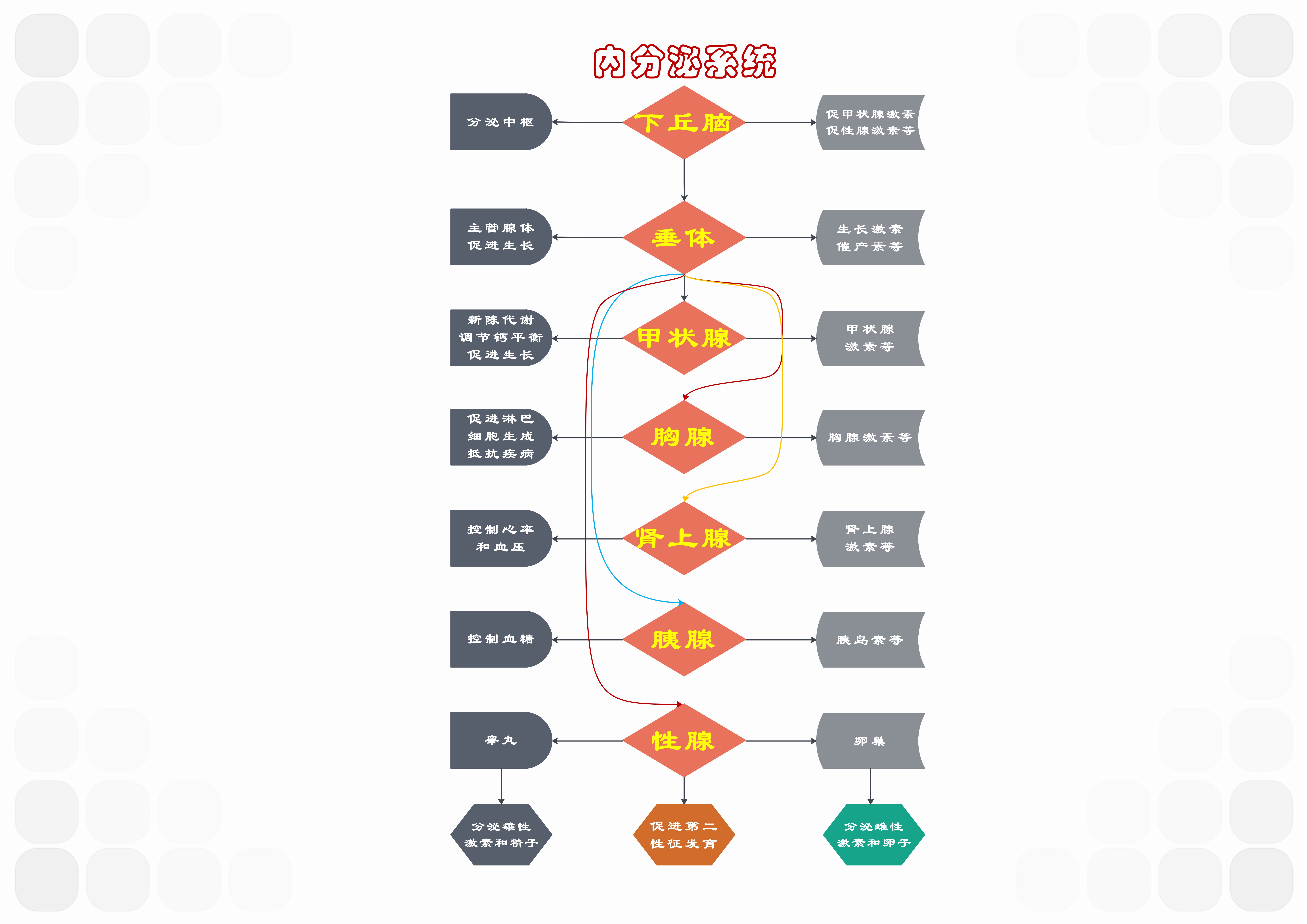 人体的八大系统是什么,人体的八大系统是什么还要按顺序吗