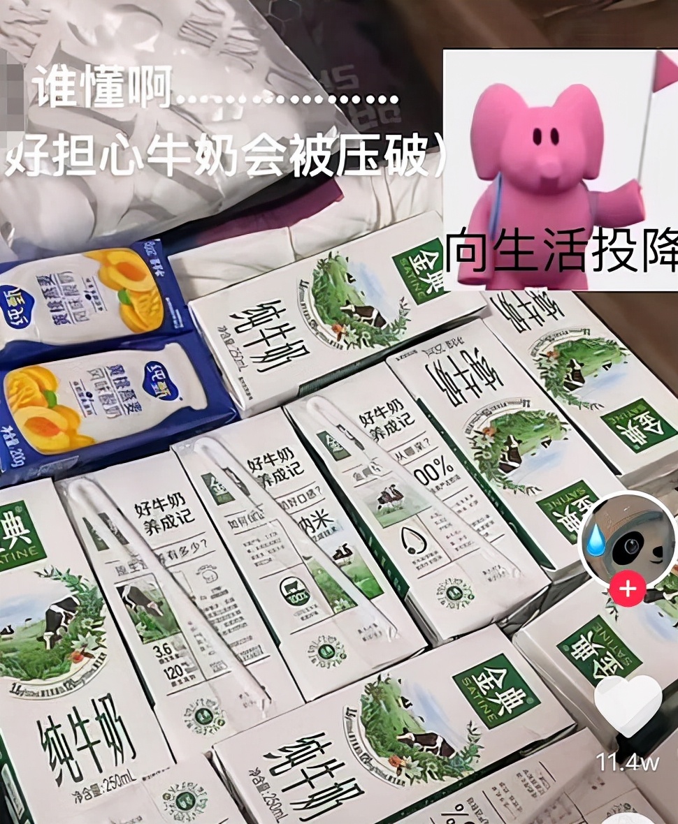 女大学生返校行李箱装满“小秘密”，引发网友共鸣，堪称人间真实