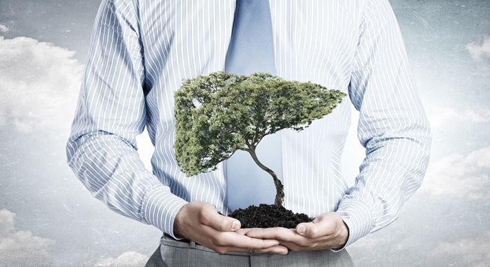 肝脏能够合成蛋白，所以肌肉强肝就好？肝脏功能好不好，如何检查