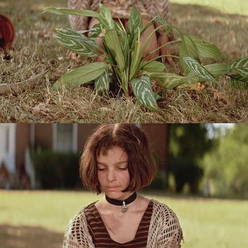 13部催泪佳片！这些电影中的悲情时刻，哪部最戳中你的心？