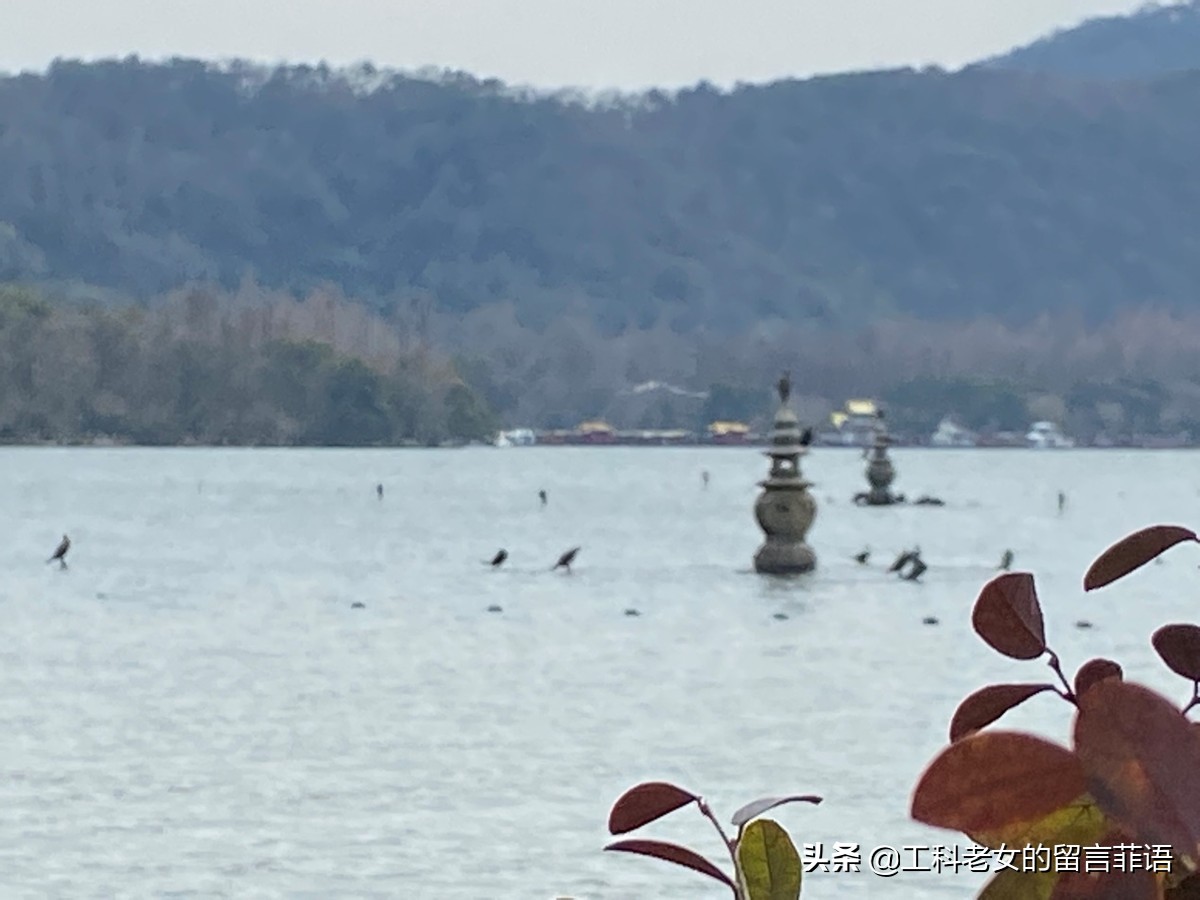 杭州：早春二月的西湖十景，断桥有残雪、苏堤未晓春