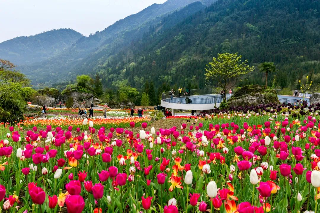 成都周邊旅遊景點大全三日遊(假期成都周邊遊) - 悅聞天下