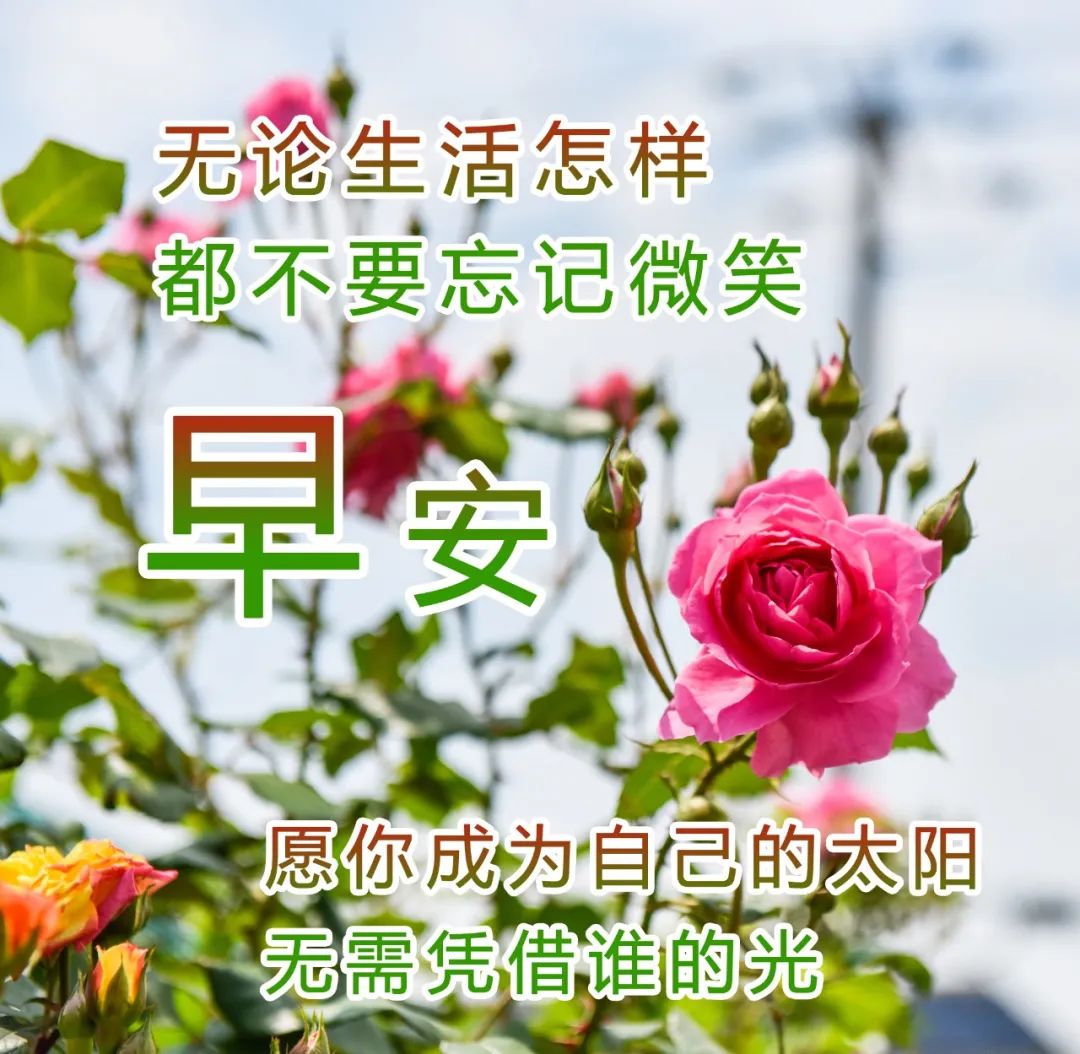 快乐开心早上好祝福图片 美好祝福早安问候图片