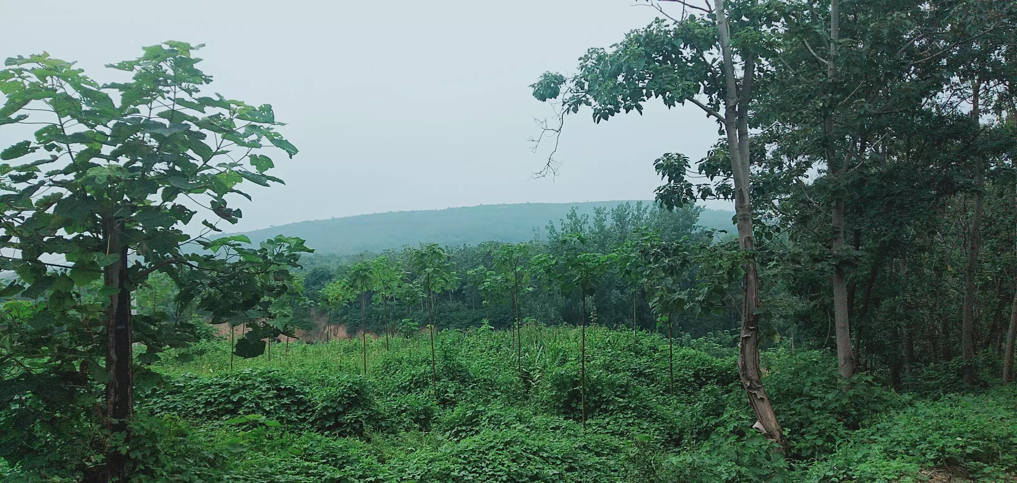 女相的男人（短篇小说）
