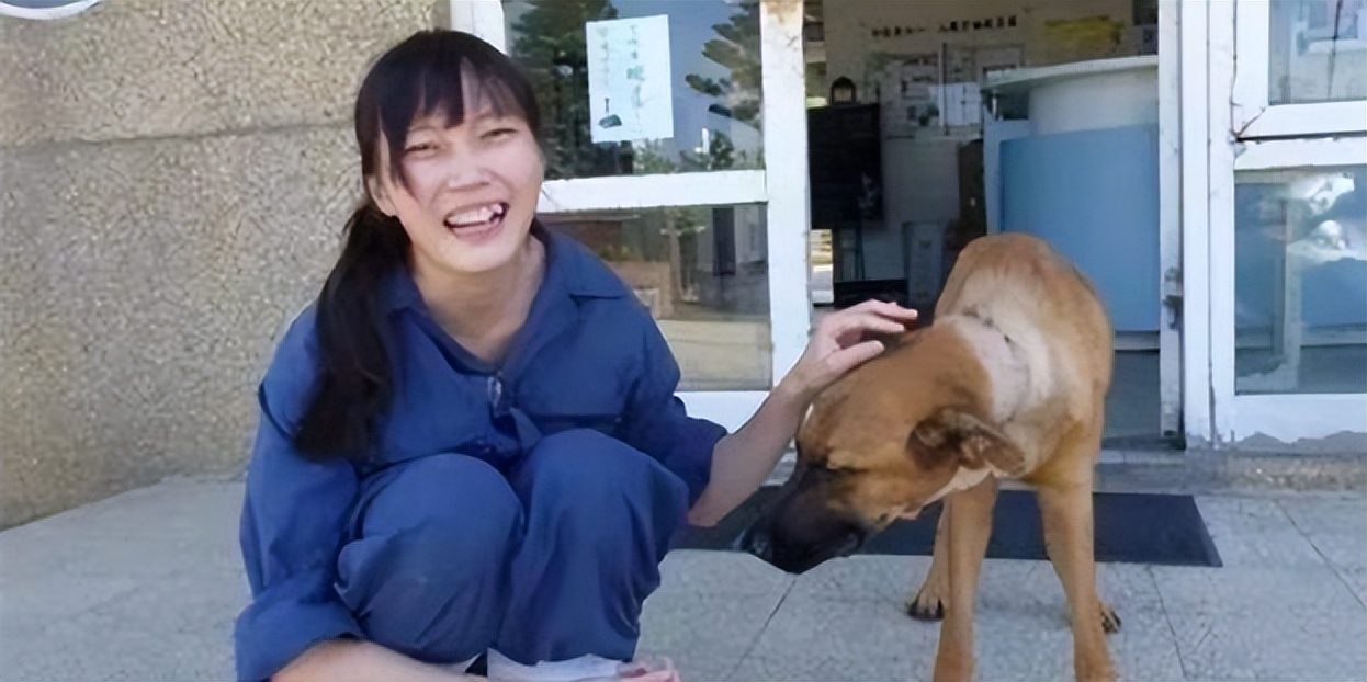 2016年，台湾女孩给700只狗安乐死后，将最后一针给了新婚的自己