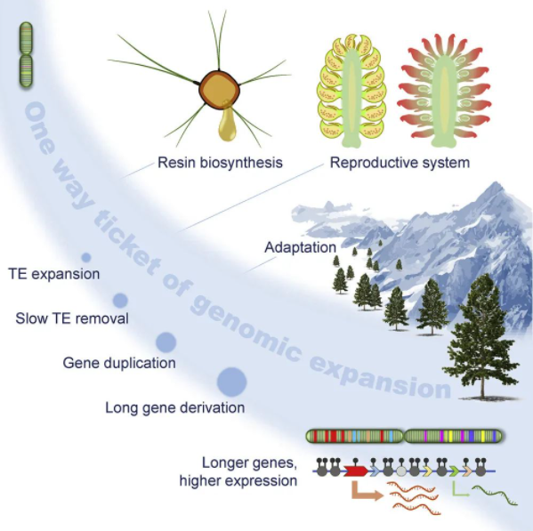 新年到！北京林业大学“专属五福”正在派送中，见者有份，一起来集福！