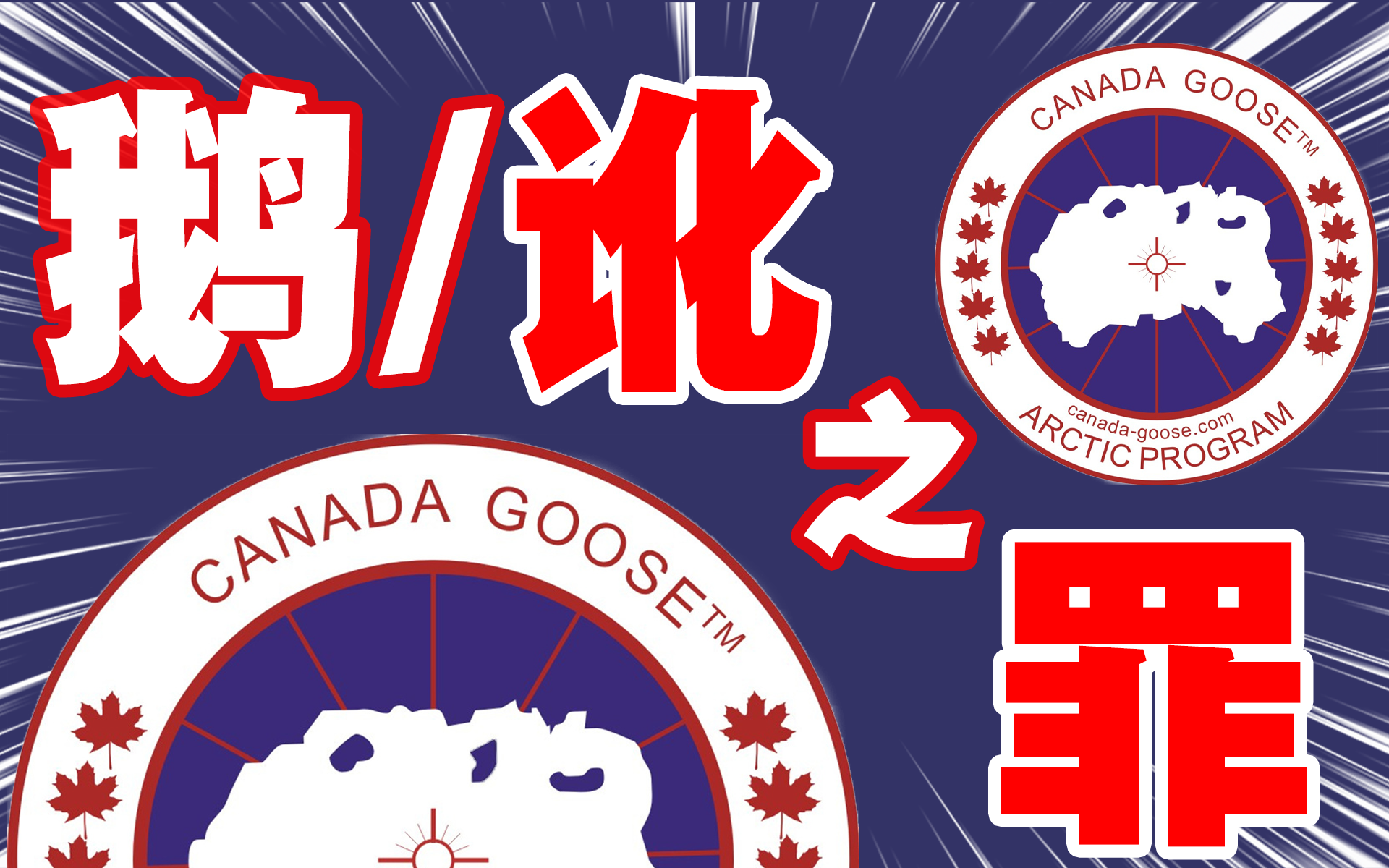 “羽绒服界的爱马仕”加拿大鹅又一次在中国火了？