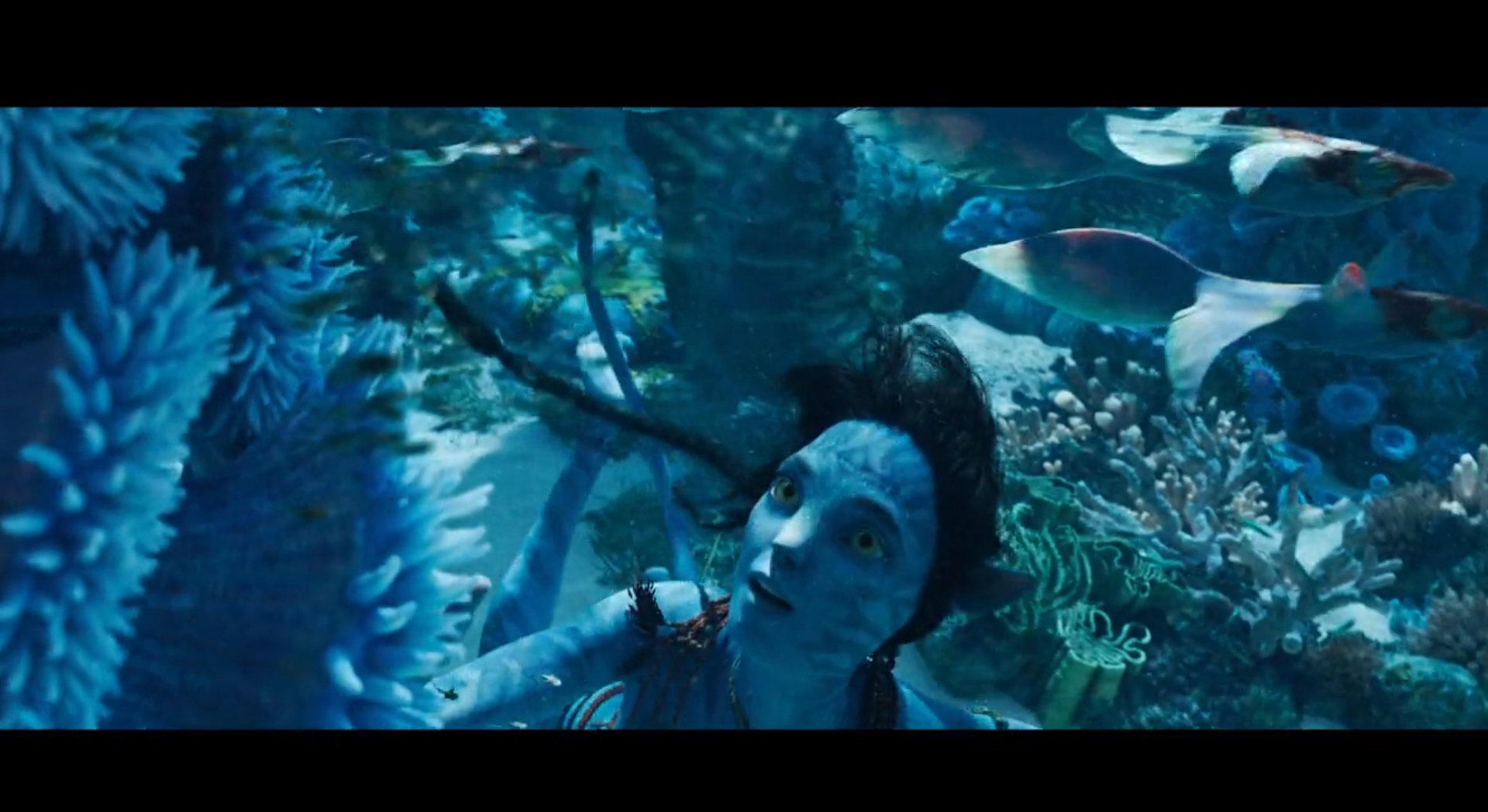 《阿凡达2:水之道》首支预告片发布！你是否期待