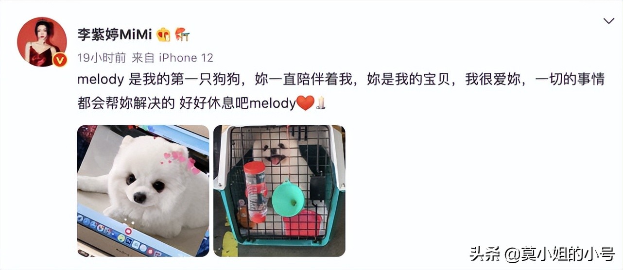 周末爆出6个瓜，被曝患暗病、校园欺凌、意外死亡，个个都是大瓜