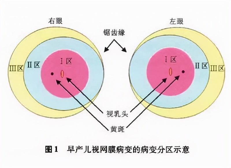 别让一时疏忽影响了孩子一生的光亮