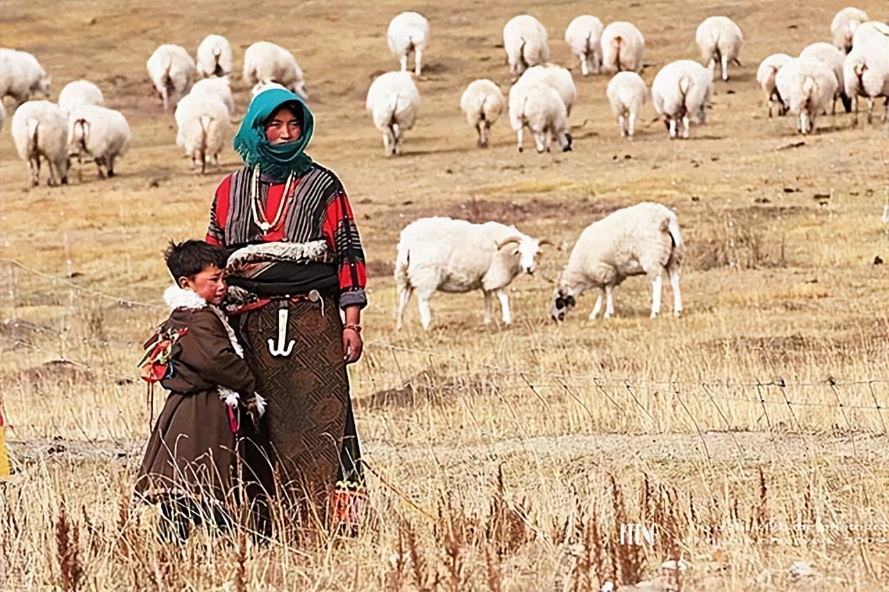 08年新疆牧民捡回俩"猫崽"后,家中怪事不断,专家看后发现端倪