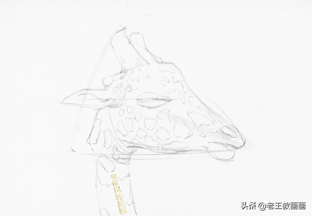 长颈鹿简笔画（教你画一只长颈鹿）