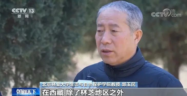 央媒聚焦！北京6位教师：接连受到央视、人民日报等采访，任职同所双一流！