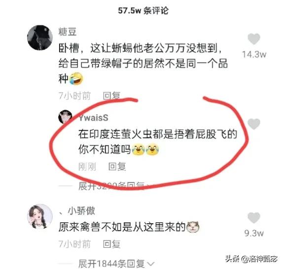 ӡ�Ⱦ�����ʲô����Ϊʲô����˵���ò������ÿ���