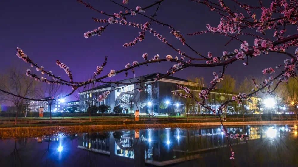 看到就报吧！这几所师范类大学的美术类专业实力强劲又好考