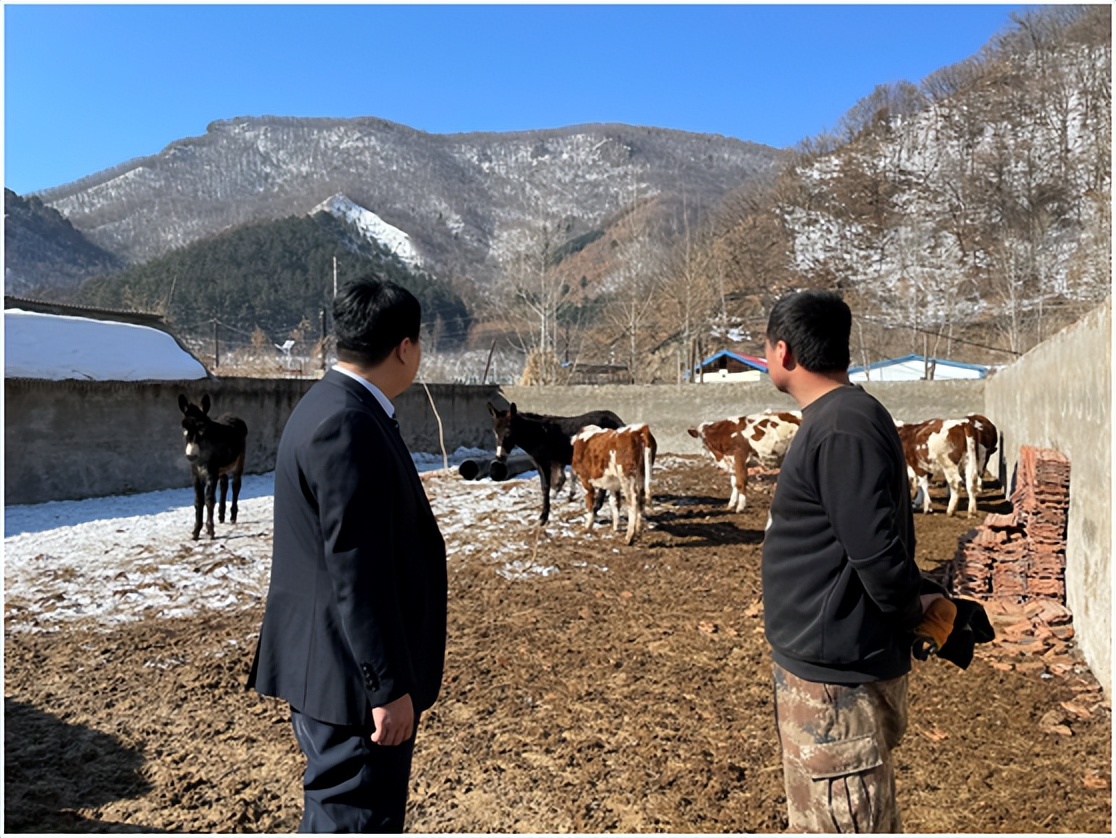 长白联社全力支持县域肉牛产业发展