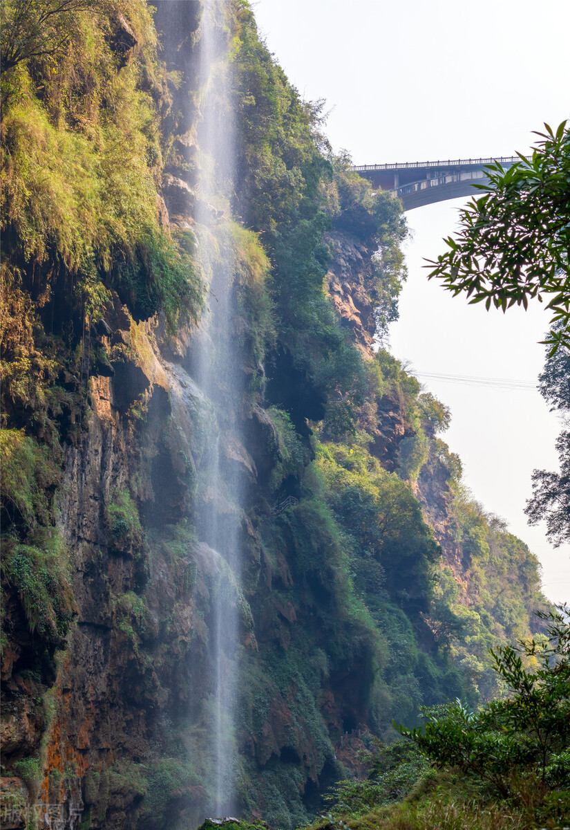 假如没有贵州，中国的春天就要凋零一半