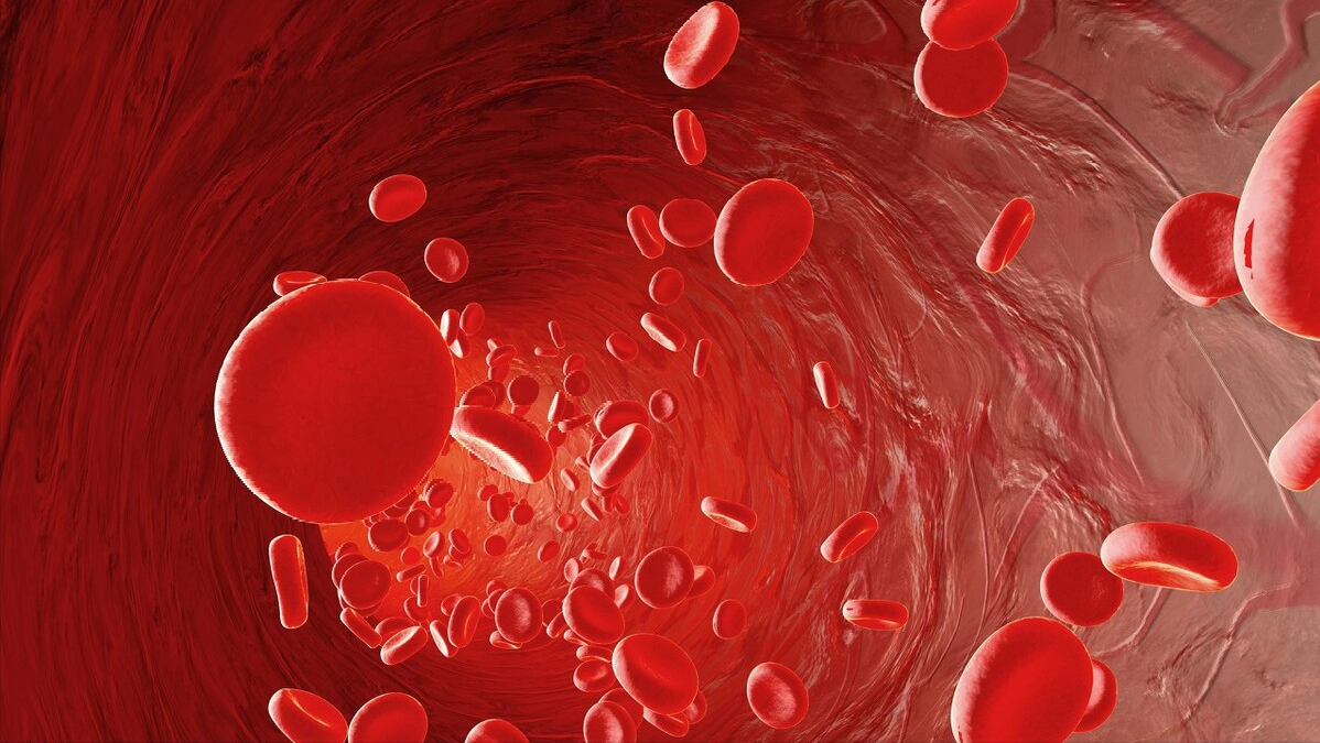 盘点价值贵重的5种生物体液