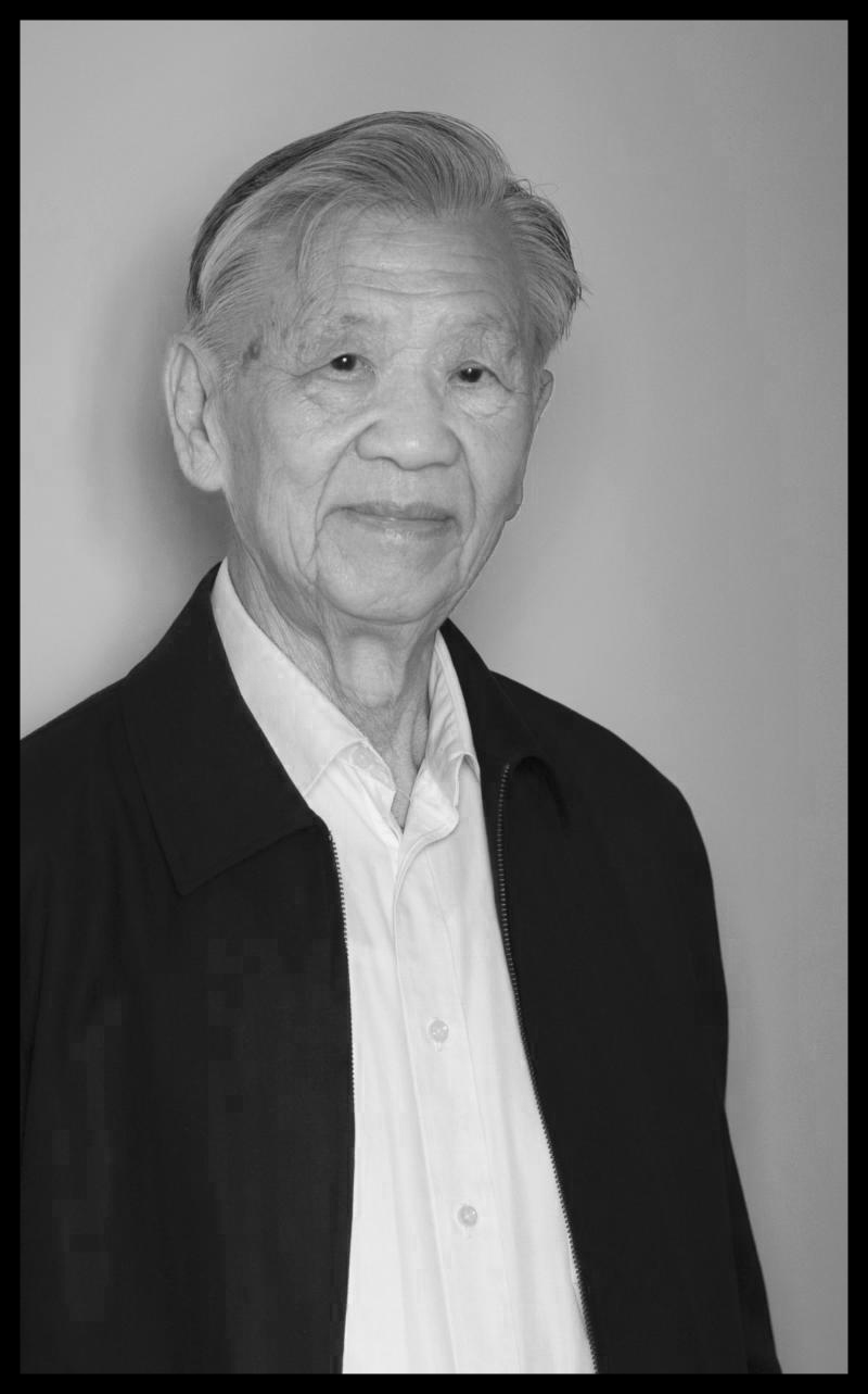 张思之（追忆张思之）