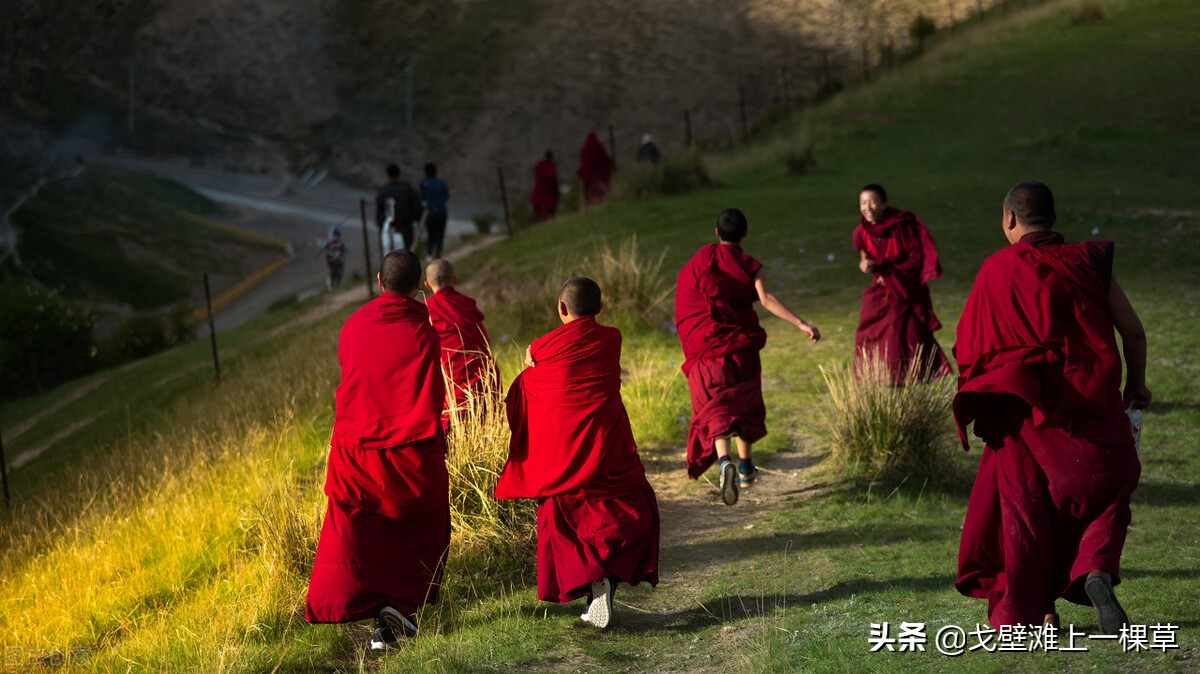活佛的转世和成长，藏传佛教小知识