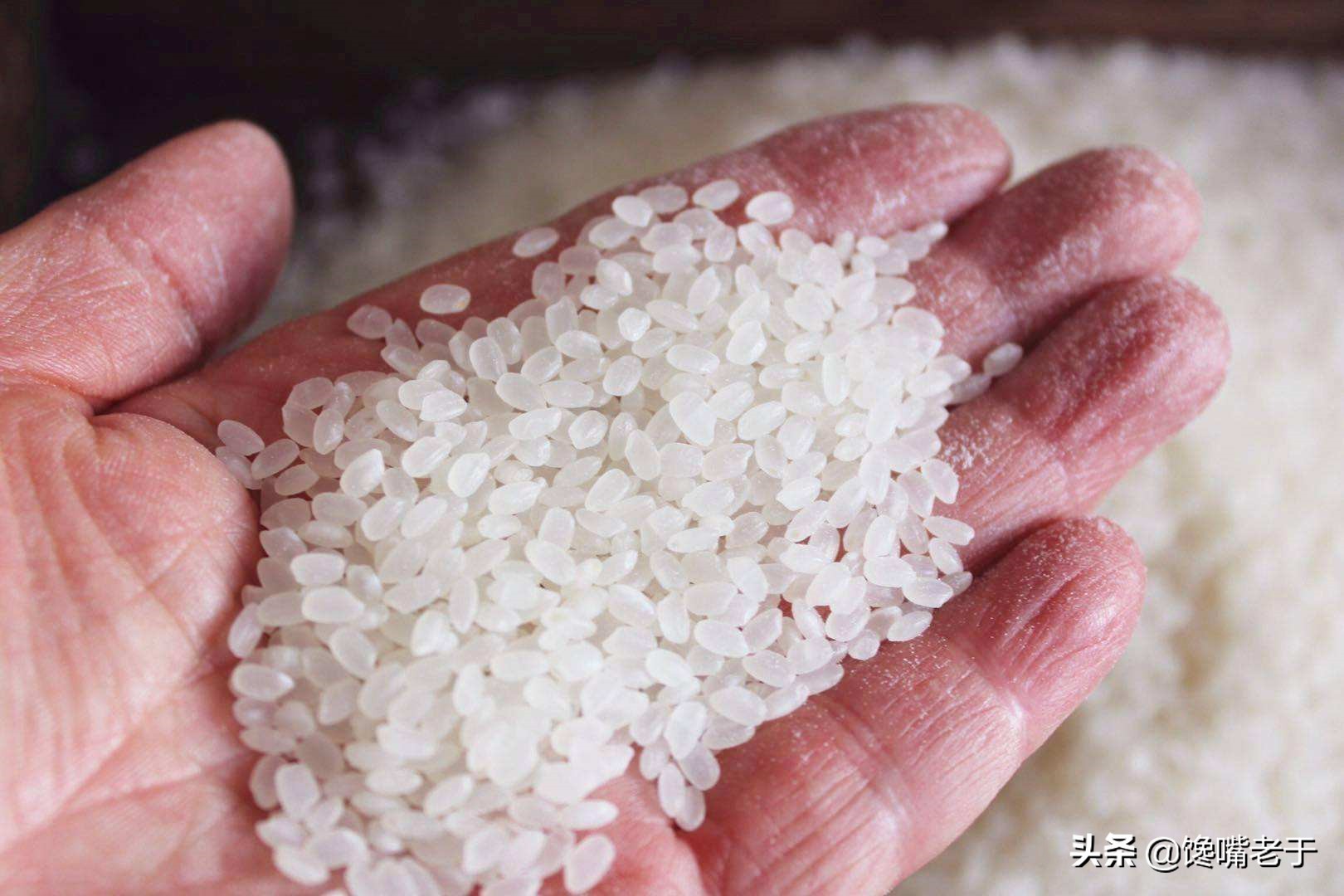 今天才知道，分辨“陈米”和“新米”只需这4招，建议收藏备用