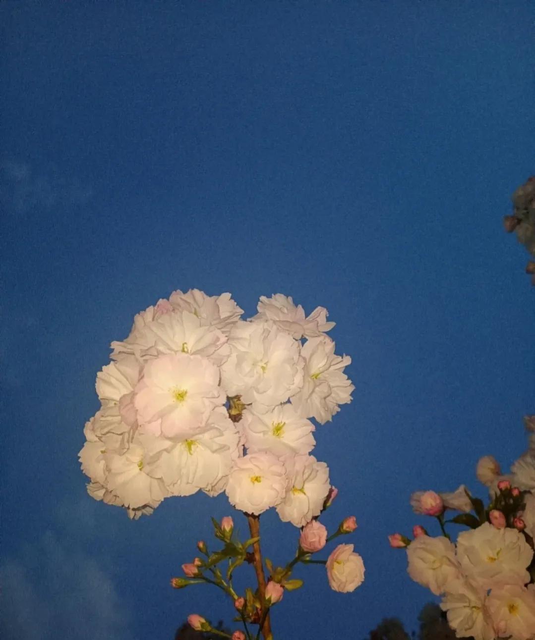 如果你经常做梦,那这些梦代表的意思你必须知道