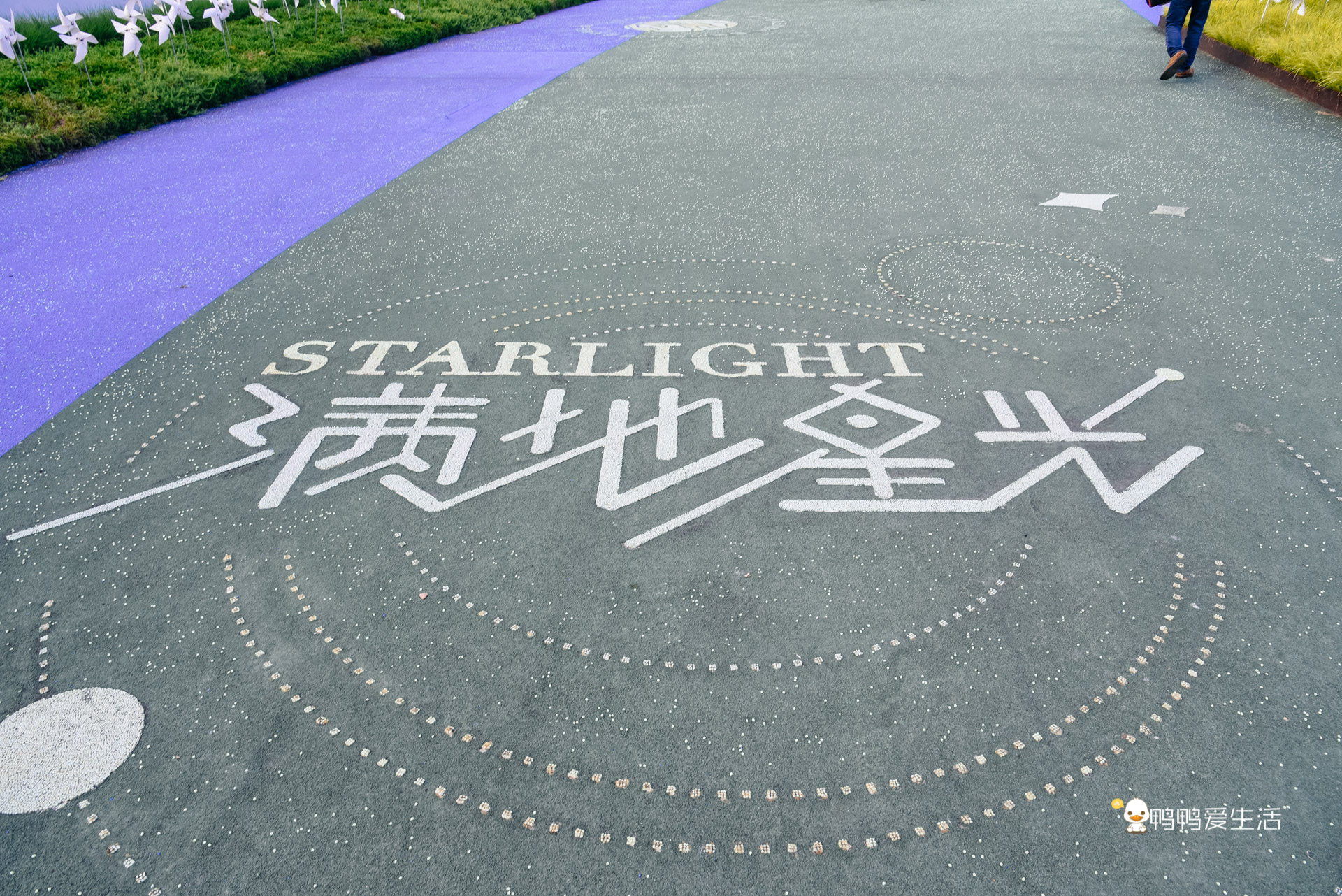 温州泰顺超五星标准酒店，有中国首个全屋顶星光大道，带娃就来这