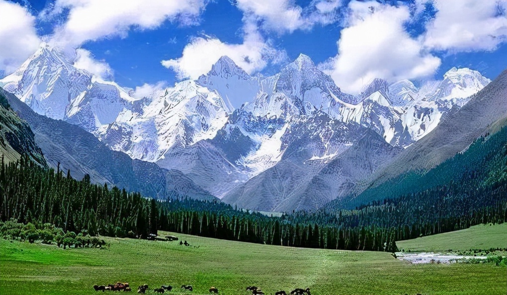 江苏迎来4所新大学，其中一所还是985，学生：直呼简直太幸福了