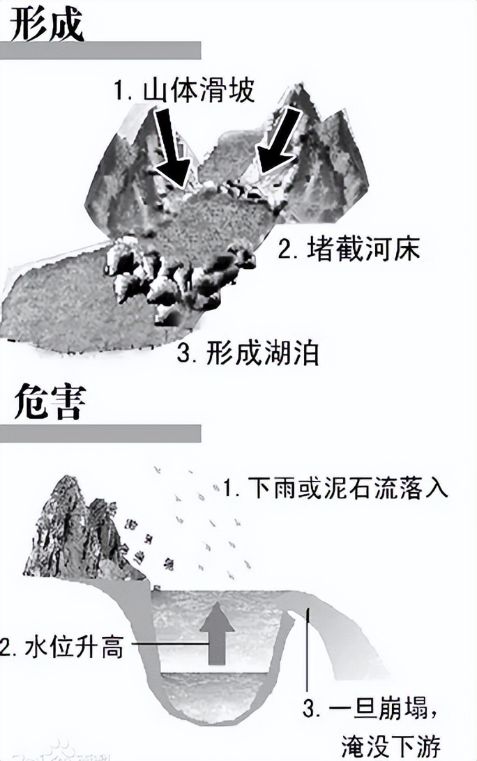 《经济学人》：蚯蚓是纯粹的益虫吗？