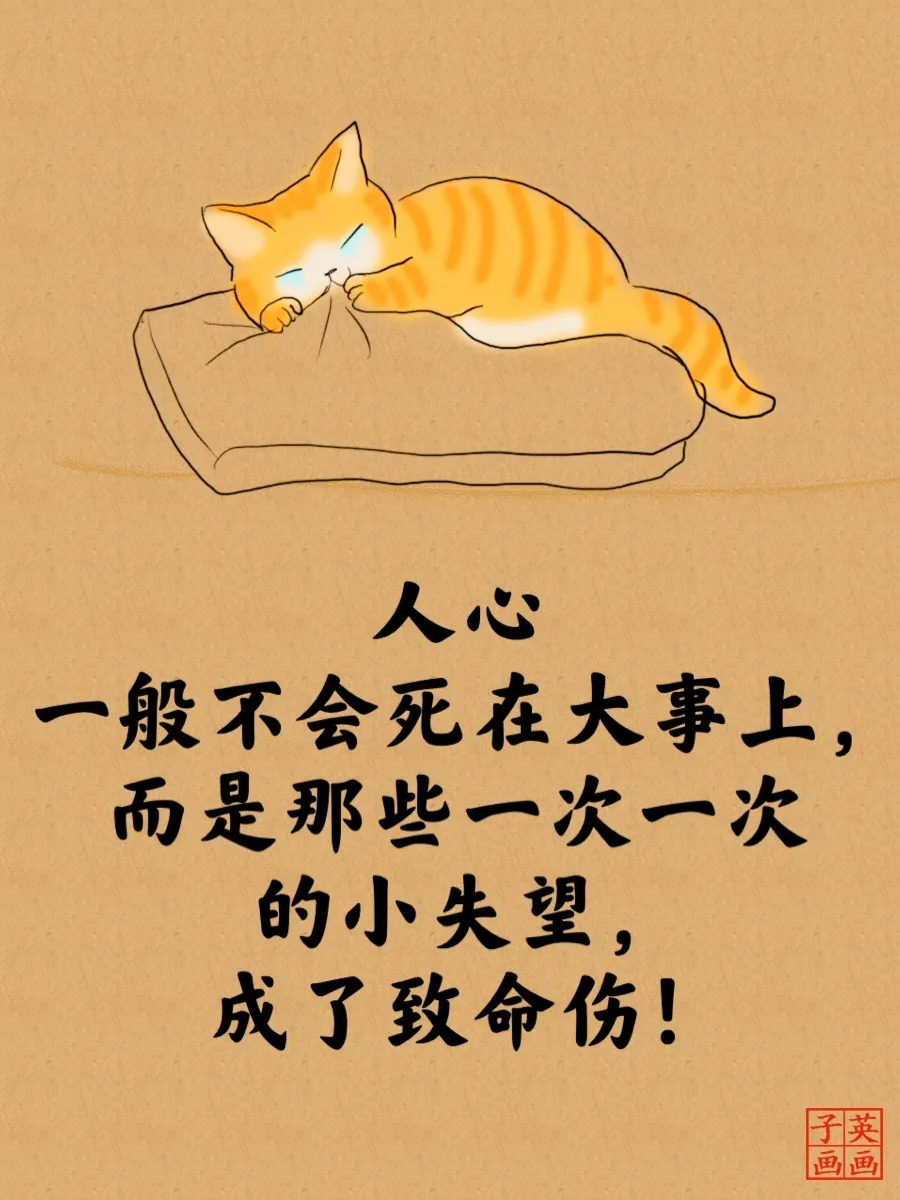 2022经典睿智的猫言猫语人生哲理大全