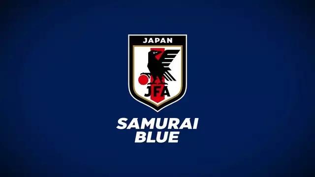 日本队2010年世界杯名单(世界杯的遗憾30：2010年的日本队)