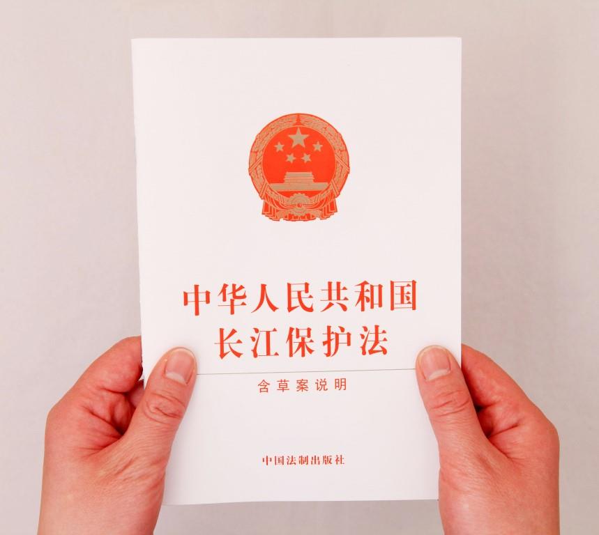 长江再现神秘物种——鳤，十年禁捕：若不保护，将无鱼可吃