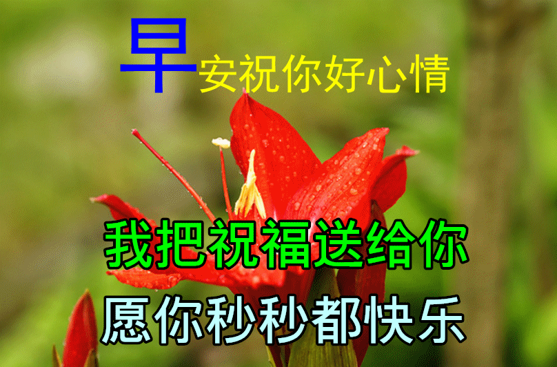 祝愿未来可期的句子（精选带图）