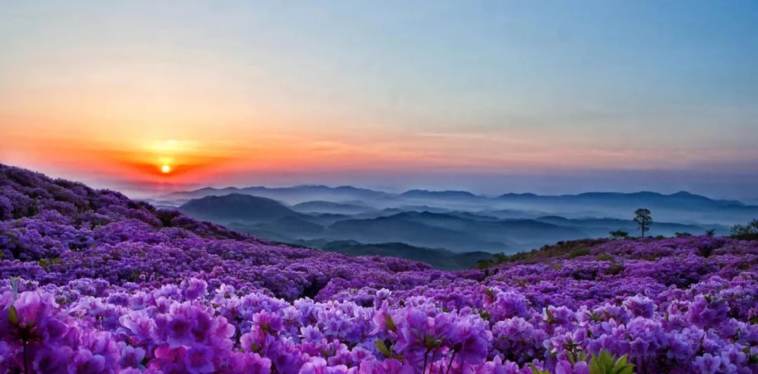 《年月日》——基于教学评一体化的课例设计