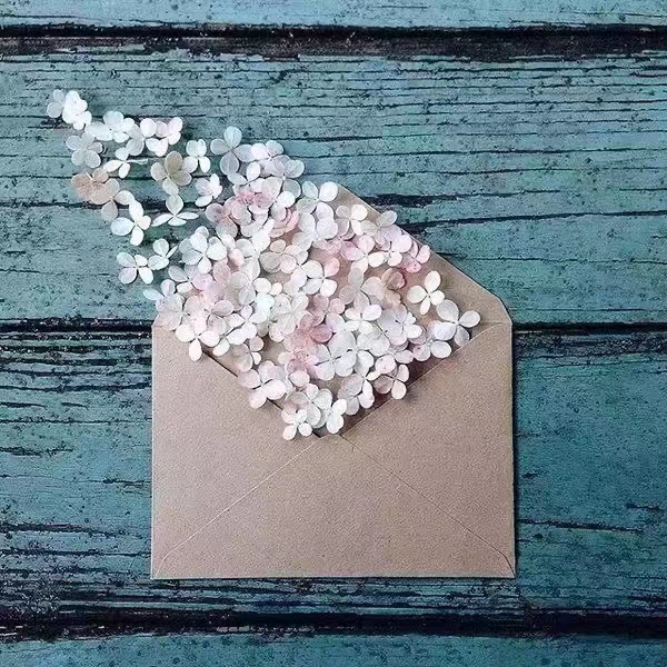 写给初三女儿的“加油信”