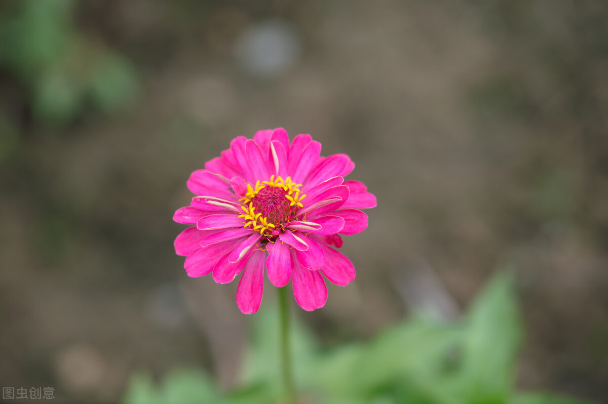 写作，就是注意力的争夺