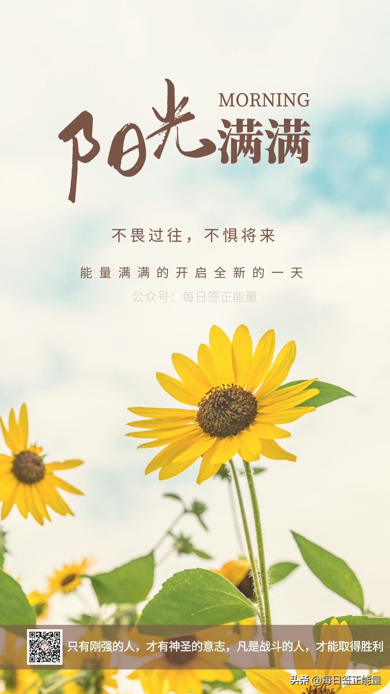 欢迎您又来吸收正能量,美好的一天从早晨开始,我每天陪伴着您,如喜欢