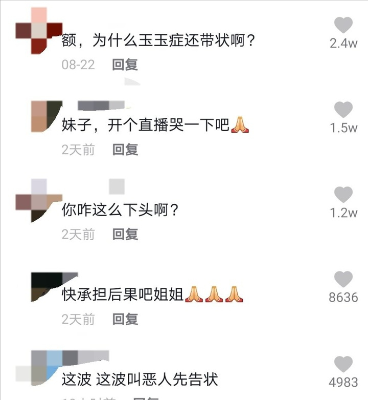 原告变被告，被告变被执行人，小慧君的故事，比电影剧本更狗血