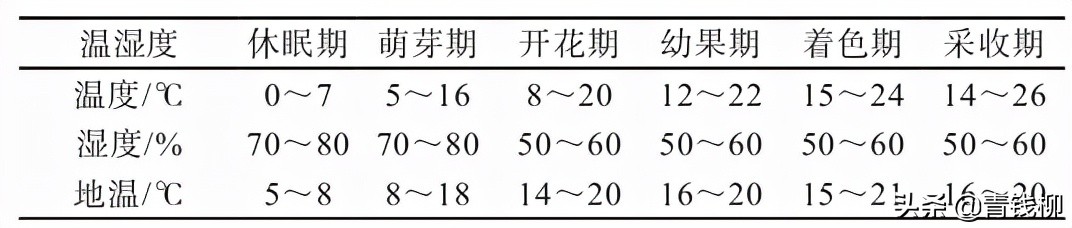 櫻桃大棚建設,