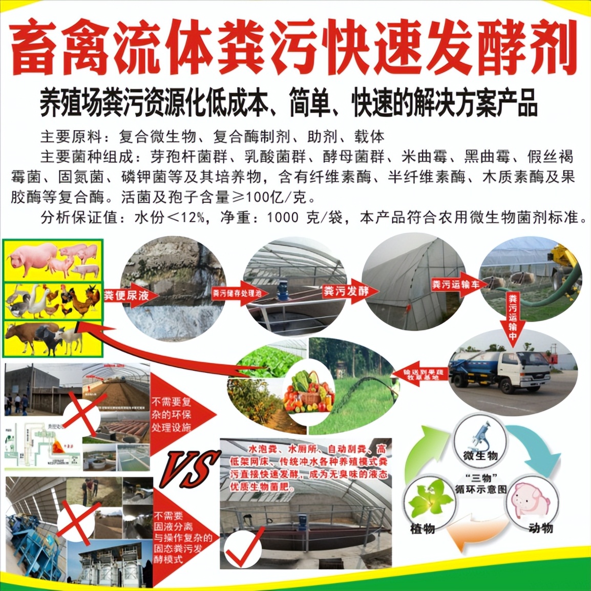 怎么把受猪场尿粪污染的鱼塘净化重新养鱼？广东这位老板告诉你