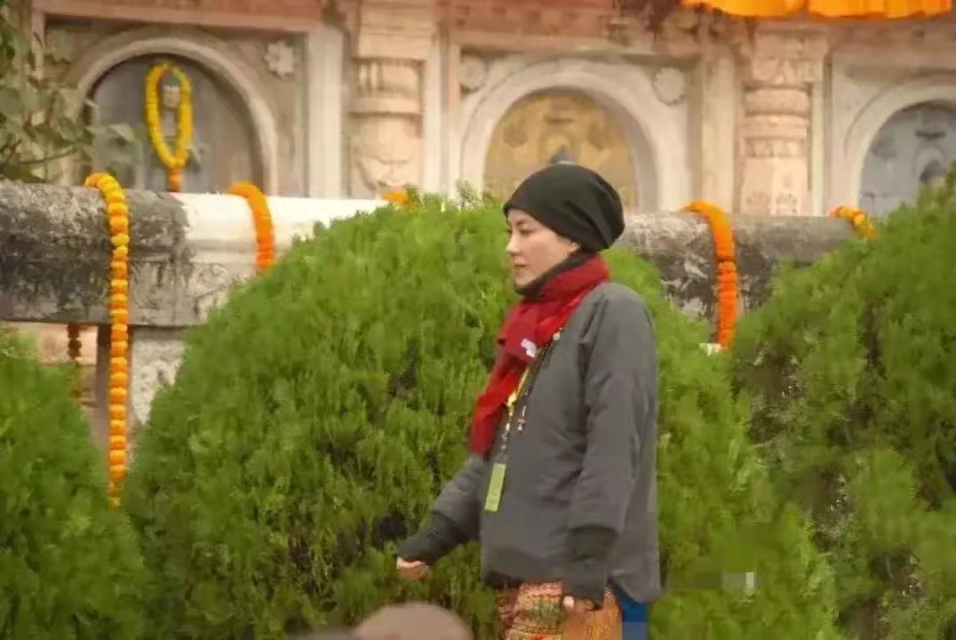 离婚后选择前任的王菲和大s：中年人的婚姻很现实，别被对方拖累