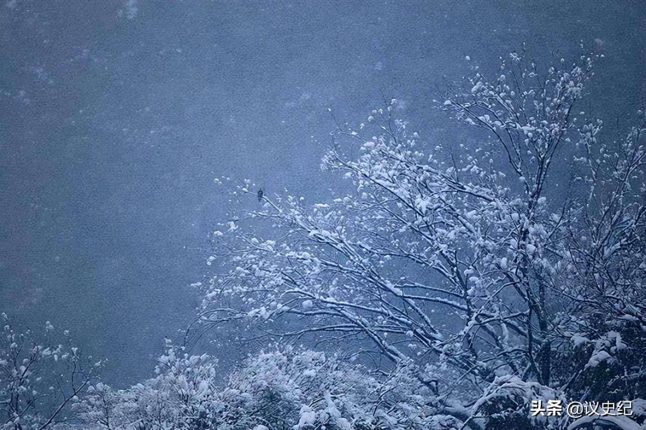 2021年，24岁中国留学生遭黑人枪杀，凶手拒不认罪，至今仍未宣判