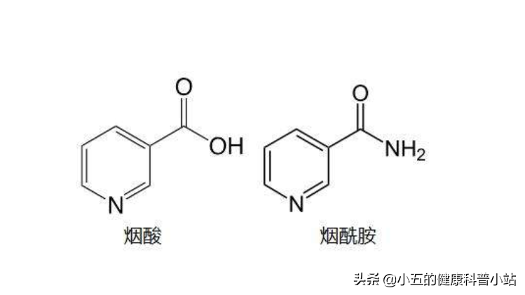 十几块钱100片的维生素B3到底能治什么病？