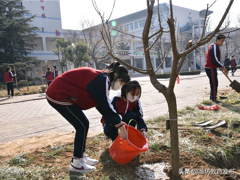 周播报 | 潍坊校园新闻（03.07—03.13）
