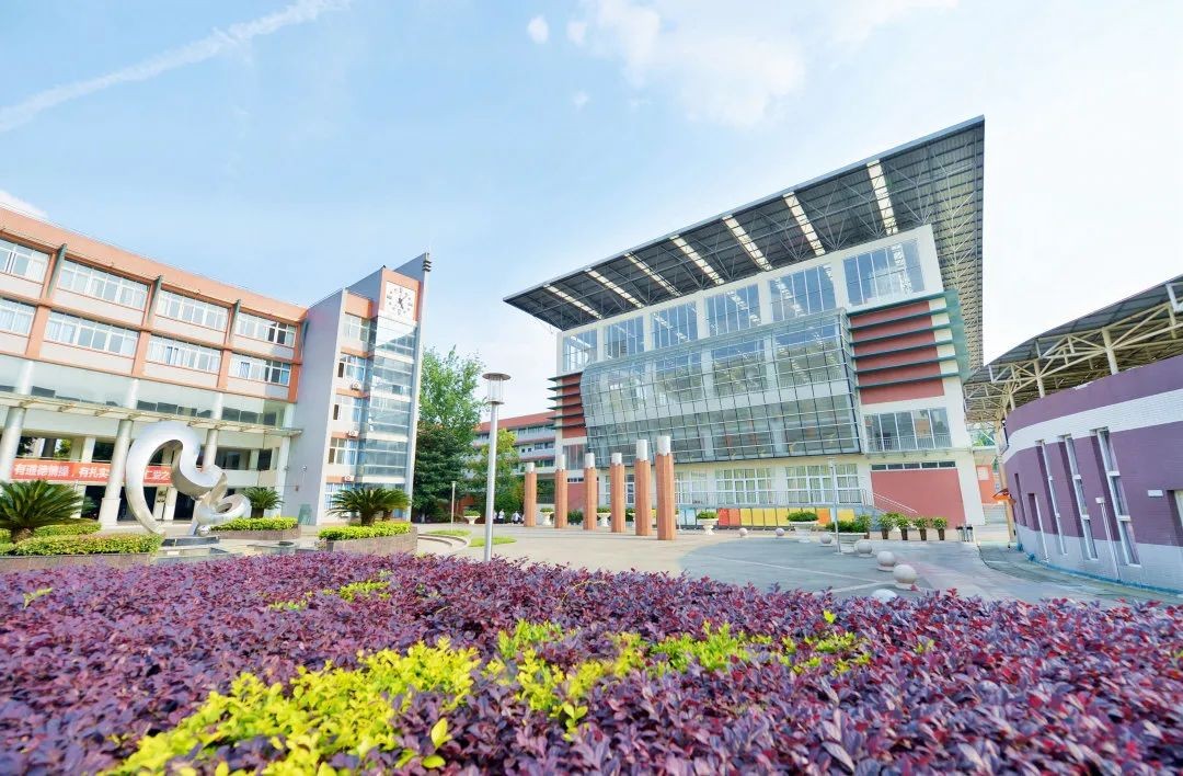 川师附中VS石室天府VS教科院附中！3大仅次于四七九王牌高中对比